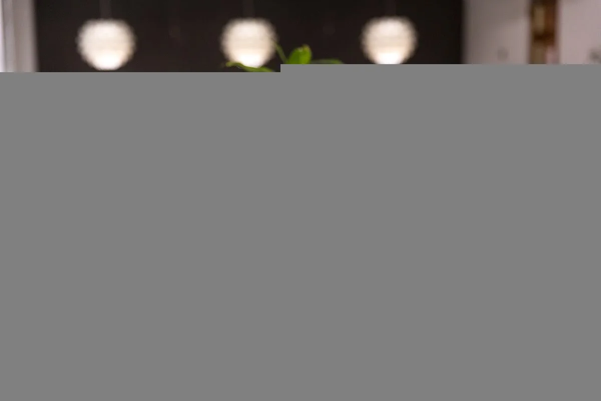 NOLA Detox and Recovery Center - Photo 5