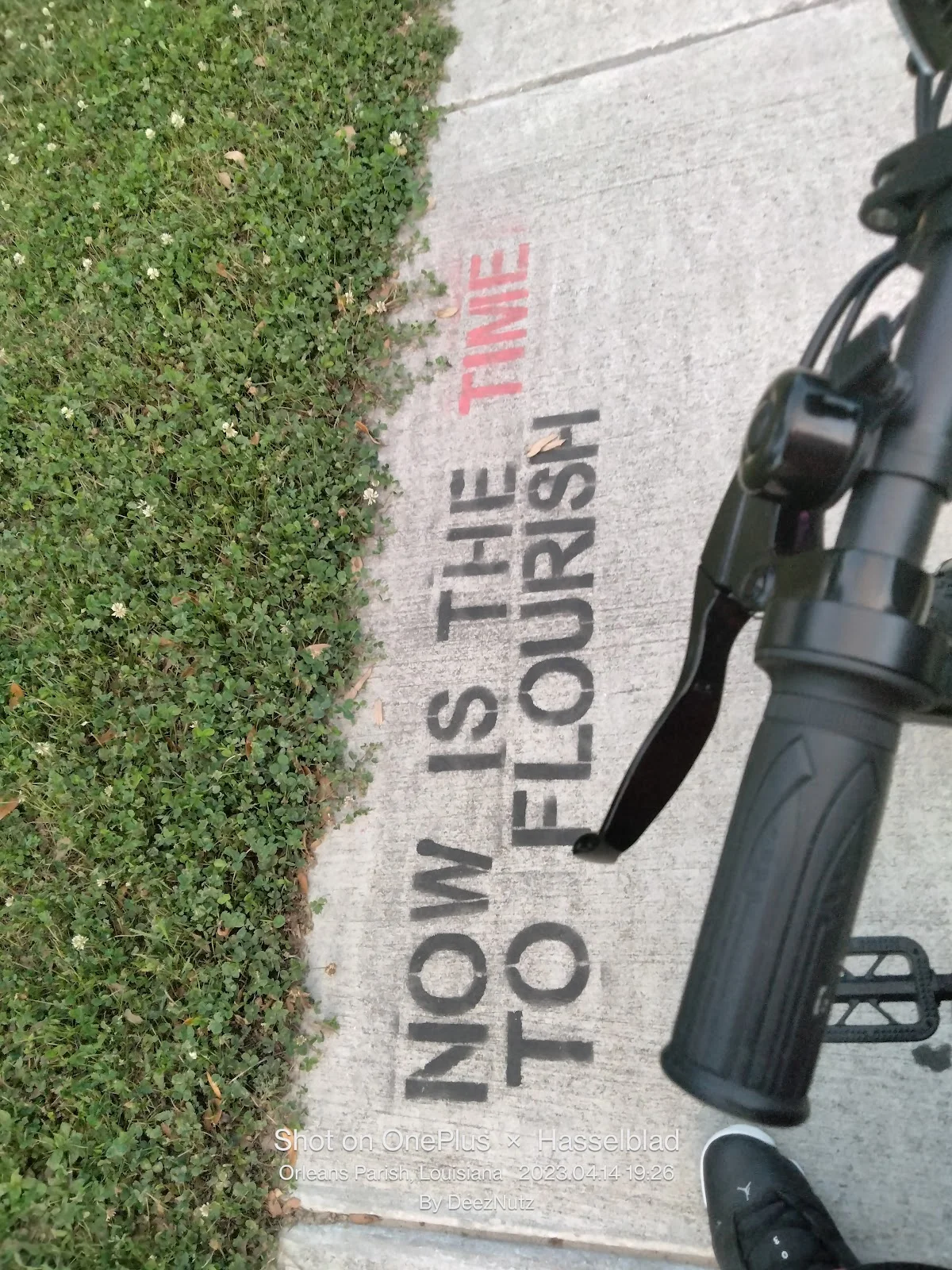 Bridge House / Grace House - Photo 4