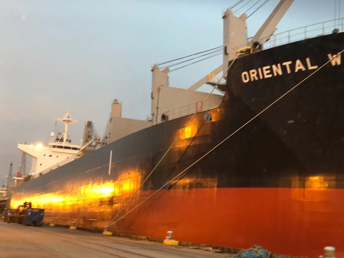 TDAL - Tulane Drug Analysis Lab