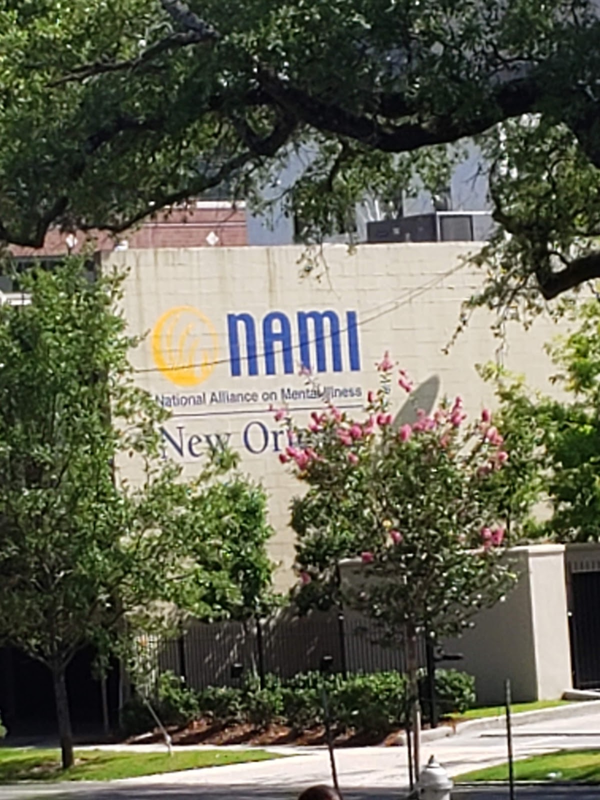 NAMI New Orleans - Photo 4