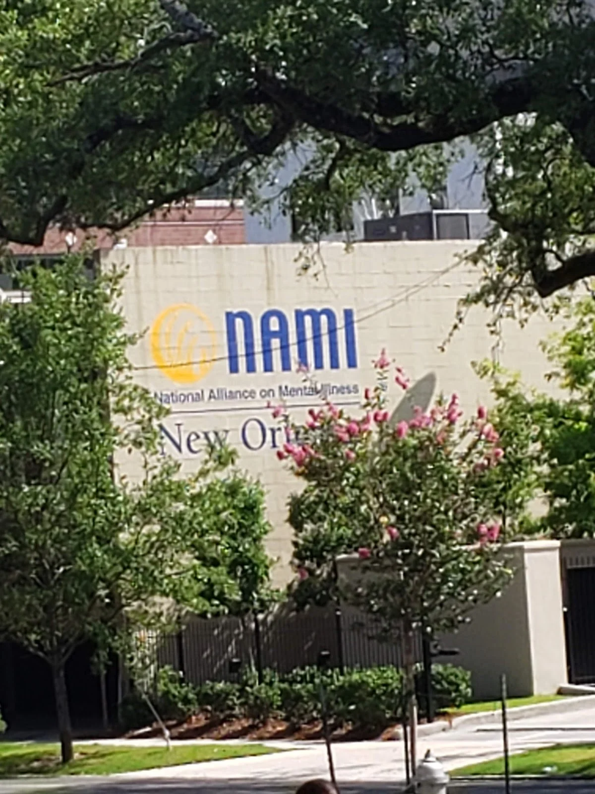NAMI New Orleans