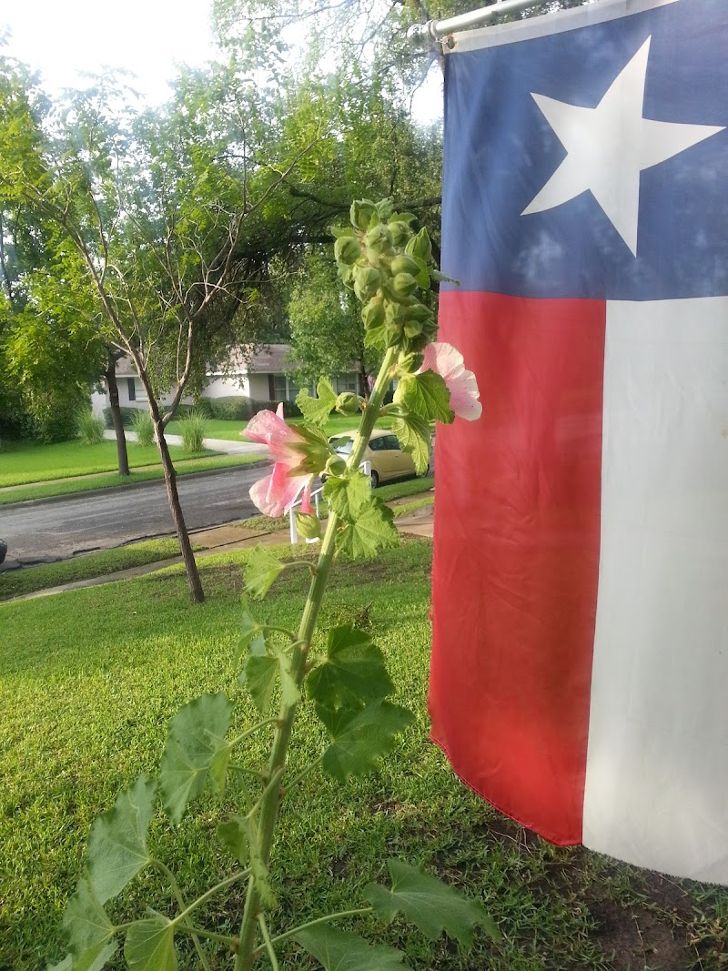 Oxford House North Park - Photo 4