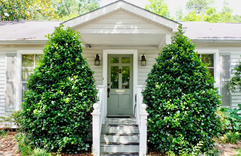 Lincoln Nova Vital Recovery - Photo 4